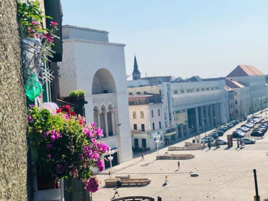 Joy City Stay Republicii 19 Temesvár Kültér fotó